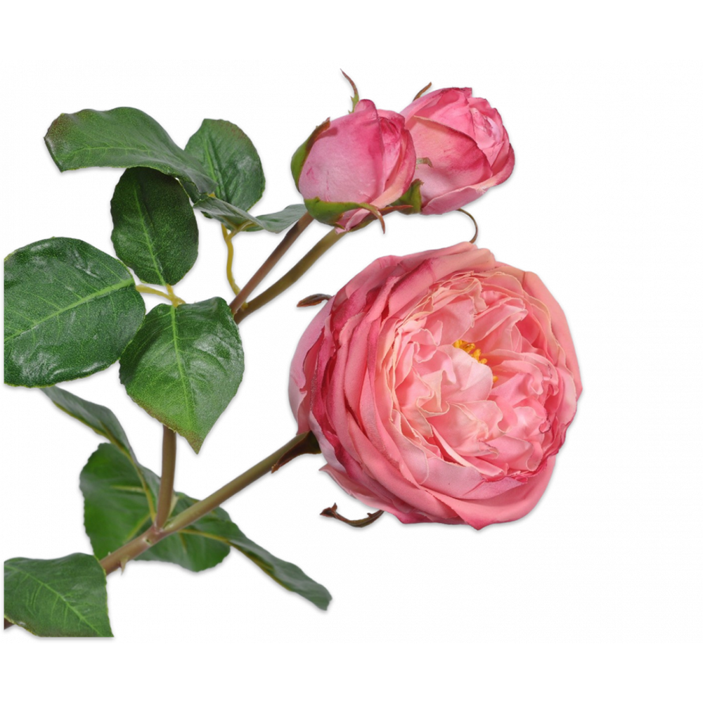 - - Zweig Rosen rosa Kunstblume FROHSINN